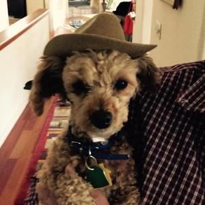 Meet your Posher, Nancy